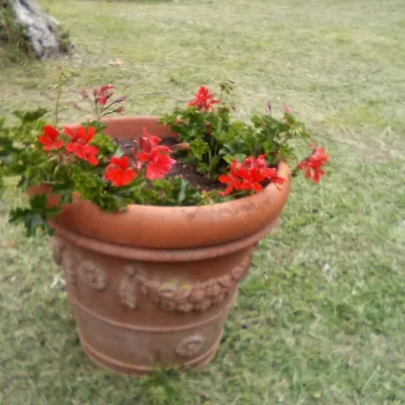 Lo Chalet Tra Gli Ulivi Chalé *