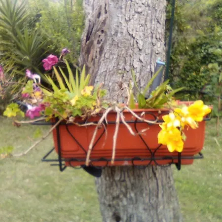 Lo Chalet Tra Gli Ulivi Santa Margherita Ligure
